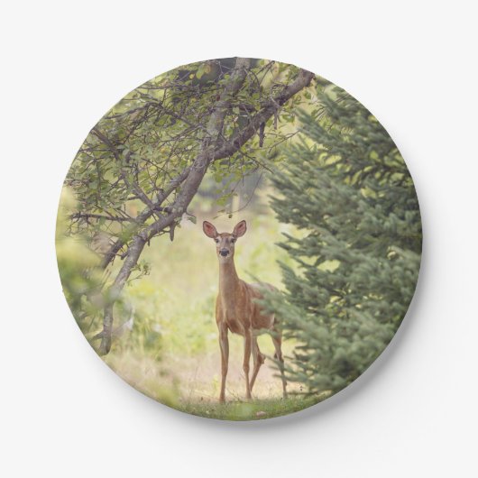 Ein einsamer Hirsch Pappteller (Vorderseite)