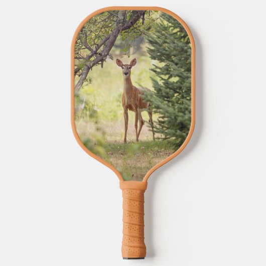Ein einsamer Hirsch Pickleball Schläger (Vorderseite)