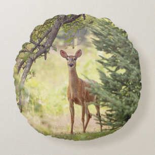 Ein einsamer Hirsch  Rundes Kissen