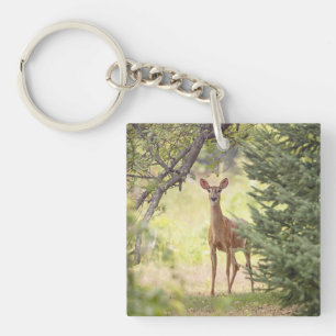 Ein einsamer Hirsch Schlüsselanhänger