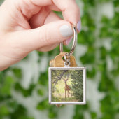 Ein einsamer Hirsch Schlüsselanhänger (Hand)