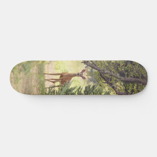 Ein einsamer Hirsch Skateboard (Horizontal)