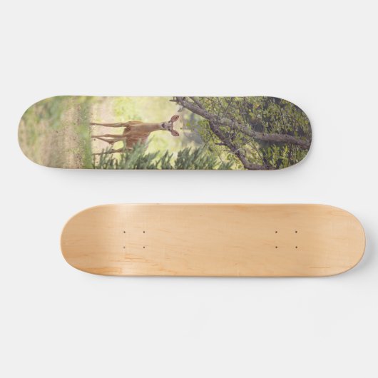 Ein einsamer Hirsch Skateboard (Horizontal)