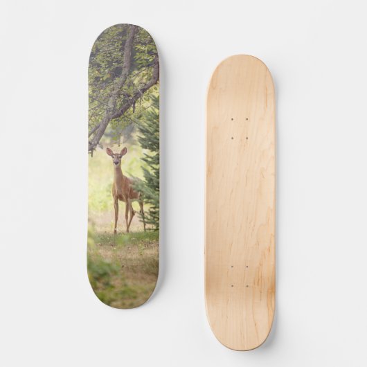Ein einsamer Hirsch Skateboard (Vorderseite)