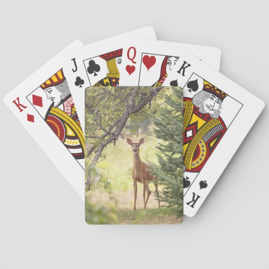 Ein einsamer Hirsch Spielkarten (Rückseite)