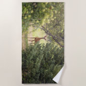Ein einsamer Hirsch Strandtuch (Vorderseite)