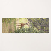 Ein einsamer Hirsch Yogamatte (Vorderseite (Horizontal))