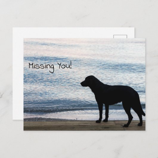 Ein einsamer Hund mit "Vermisstes Du"-Nachricht Postkarte (Vorne/Hinten)
