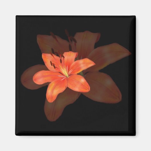 Ein einsamer Lilienmagnet Magnet (Vorne)