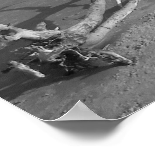 Ein einsames Ende Poster (Ecke)