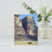 Ein einsames Kamel, Wadi-Rum-Wüste, Jordan-Wüste Postkarte (Stehend Vorderseite)