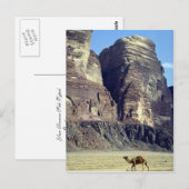 Ein einsames Kamel, Wadi-Rum-Wüste, Jordan-Wüste Postkarte (Vorne/Hinten)