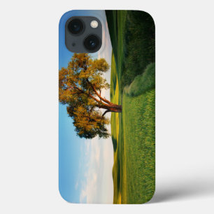 Ein einzelner Baum, umgeben von sanften Hügeln mit iPhone 13 Hülle