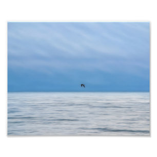 Ein einzelner Vogel über dem nebligen Meer Fotogra Fotodruck