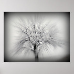 Ein einziger Baum an der ND-Prärie Poster