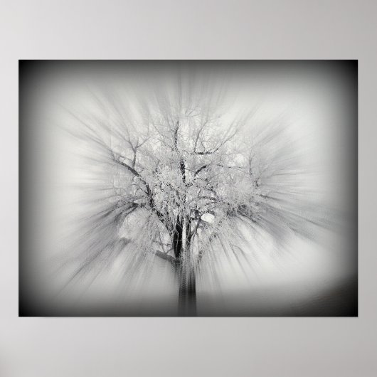 Ein einziger Baum an der ND-Prärie Poster (Vorne)