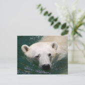 Ein Eisbär, der nur abkühlt Postkarte (Stehend Vorderseite)