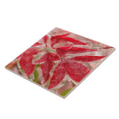 Ein Eissturm im Winter, der die Blätter von Fliese (Seite)