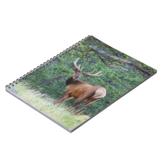 Ein Elch rückblickend | Rocky Mountains Notizblock (Linke Seite)