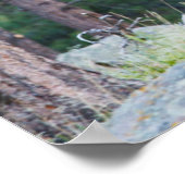 Ein Elch rückblickend | Rocky Mountains Poster (Ecke)