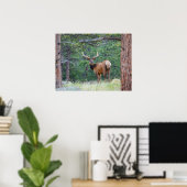 Ein Elch rückblickend | Rocky Mountains Poster (Heimbüro)