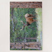 Ein Elch rückblickend | Rocky Mountains Puzzle (Vertikal)