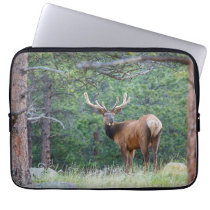 Ein Elch schaut zurück Rocky Mountains Laptopschutzhülle