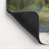 Ein Elch sieht sich mit einem Mousepad (Ecke)