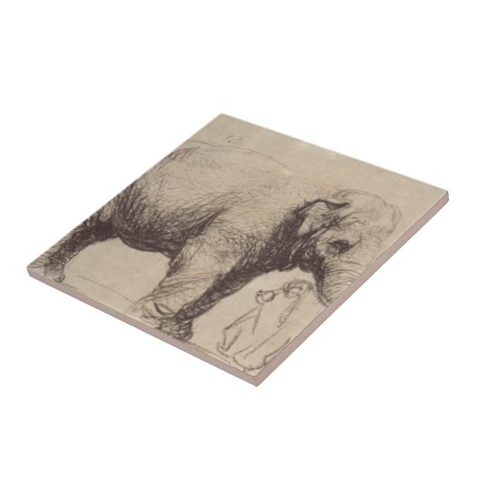 Ein Elefant durch Rembrandt Fliese (Seite)