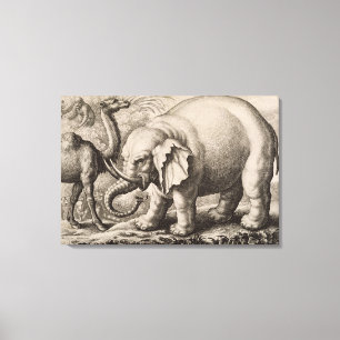 Ein Elefant und ein Kamel, graviert durch Leinwanddruck