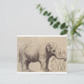 Ein Elefant von Rembrandt Postkarte (Stehend Vorderseite)