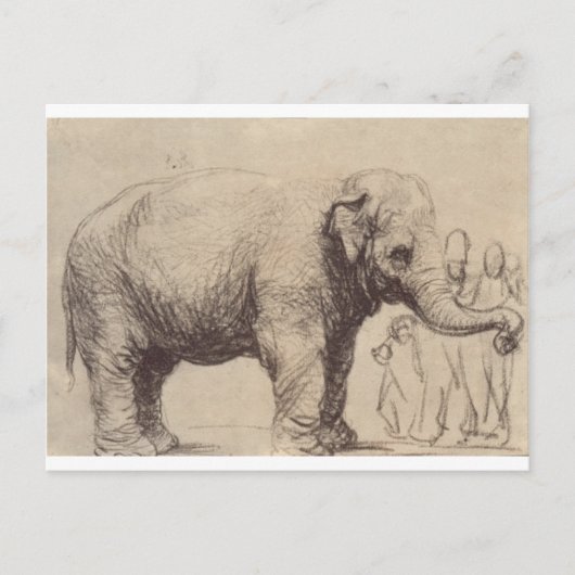 Ein Elefant von Rembrandt Postkarte (Vorderseite)