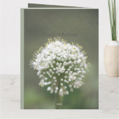 Ein eleganter Glückwunsch Karte (Rückseite)