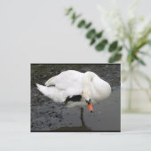 Ein eleganter Gruß Postkarte (Stehend Vorderseite)