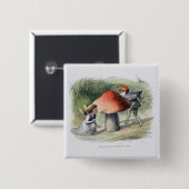 Ein Elf auf der Suche nach einer Fee, Illustration Button (Vorne & Hinten)