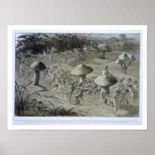 Ein Elfin-Tanz in der Nacht, Illustration von "In  Poster