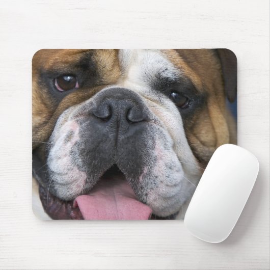 Ein englischer Bulldog in Belgien. Mousepad (Mit Mouse)