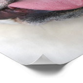 Ein englischer Bulldog in Belgien. Poster (Ecke)