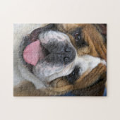 Ein englischer Bulldog in Belgien Puzzle (Horizontal)