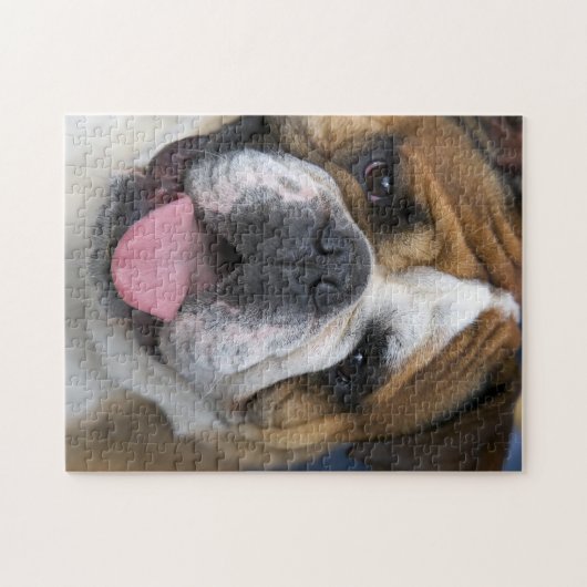 Ein englischer Bulldog in Belgien Puzzle (Horizontal)