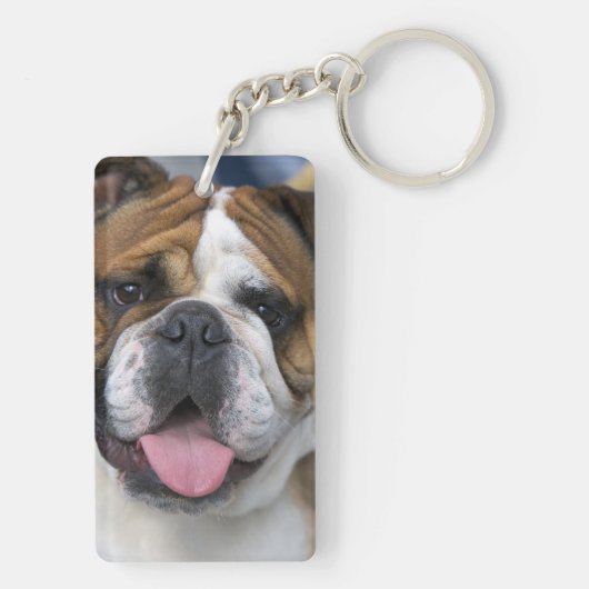 Ein englischer Bulldog in Belgien. Schlüsselanhänger (Rückseite)