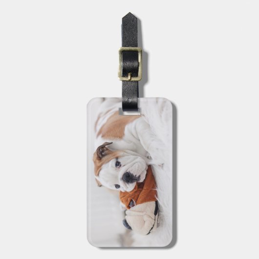 Ein englischer Bulldoggen-Welpe, der mit einer Gepäckanhänger (Vorderseite vertikal)