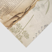 Ein Ephemera Oster-Serie-Design #11 Seidenpapier (Ausschnitt)
