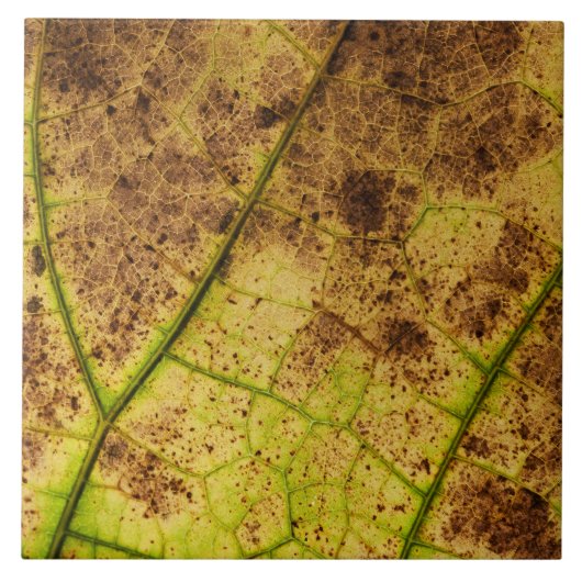 Ein erdgelbes und braunes Blätterbild Fliese (Vorderseite)