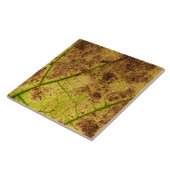 Ein erdgelbes und braunes Blätterbild Fliese (Seite)