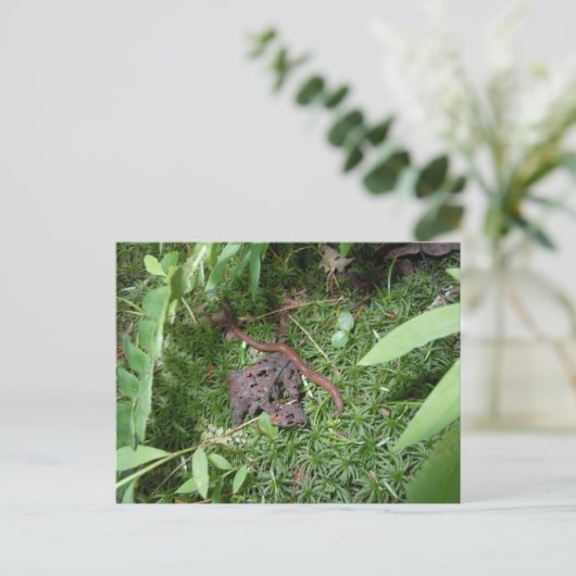 Ein Erdwurm Postkarte (Stehend Vorderseite)