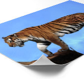 Ein Erfolg für Tiger Poster (Ecke)
