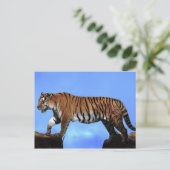 Ein Erfolg für Tiger Postkarte (Stehend Vorderseite)