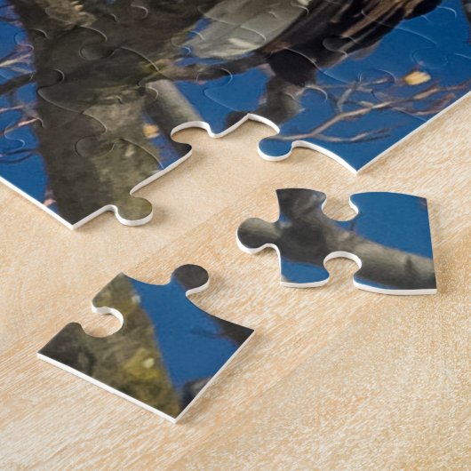 Ein ernsthafter Adler Puzzle (Seite)