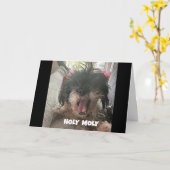 EIN ERNSTHAFTER HUND SAGT "GLÜCKLICH 40. GEBURTSTA KARTE (Gelbe Blume)